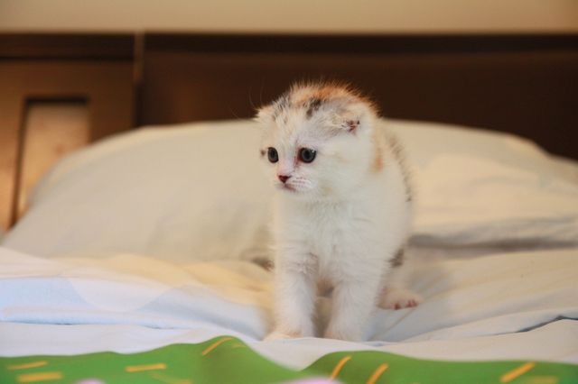 1672445051-IMG_2191.jpg