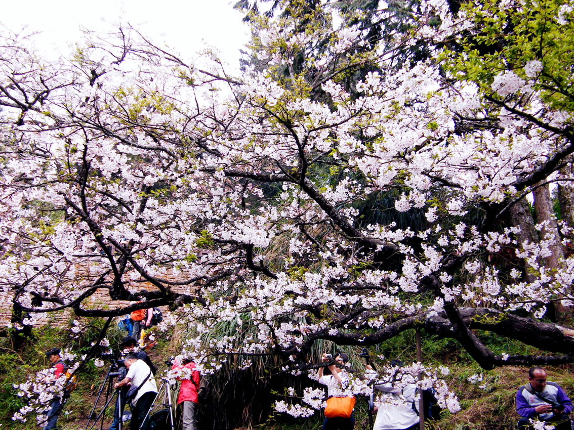 DSCF1152.jpg