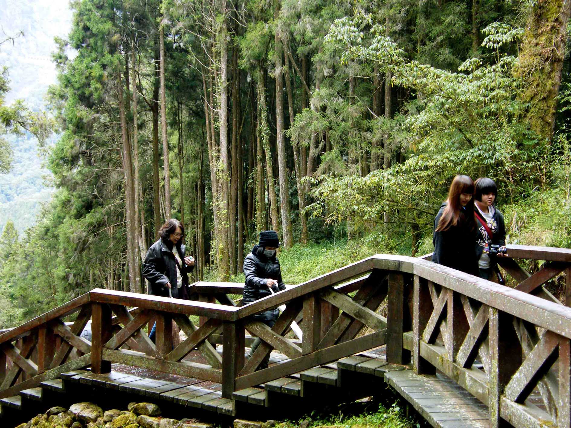 DSCF1907.jpg